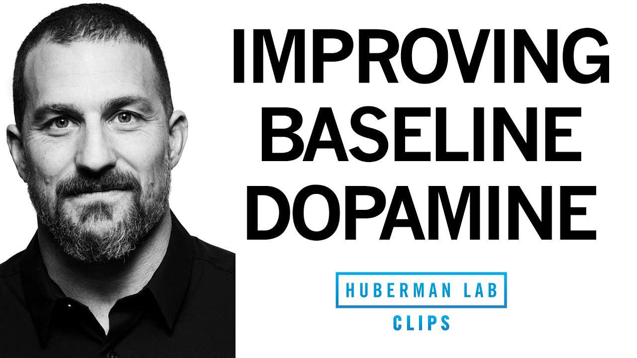 Improve Your Baseline Dopamine for Motivation &amp; Drive | Dr. Andrew Huberman - YouTube