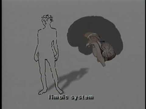 The Behaving Brain w/ Philip Zimbardo - YouTube