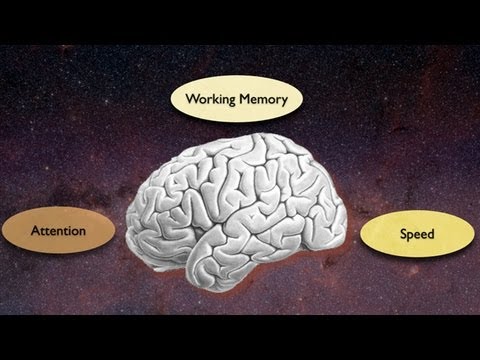 Exploring the Crossroads of Attention and Memory in the Aging Brain: Views from the Inside - YouTube