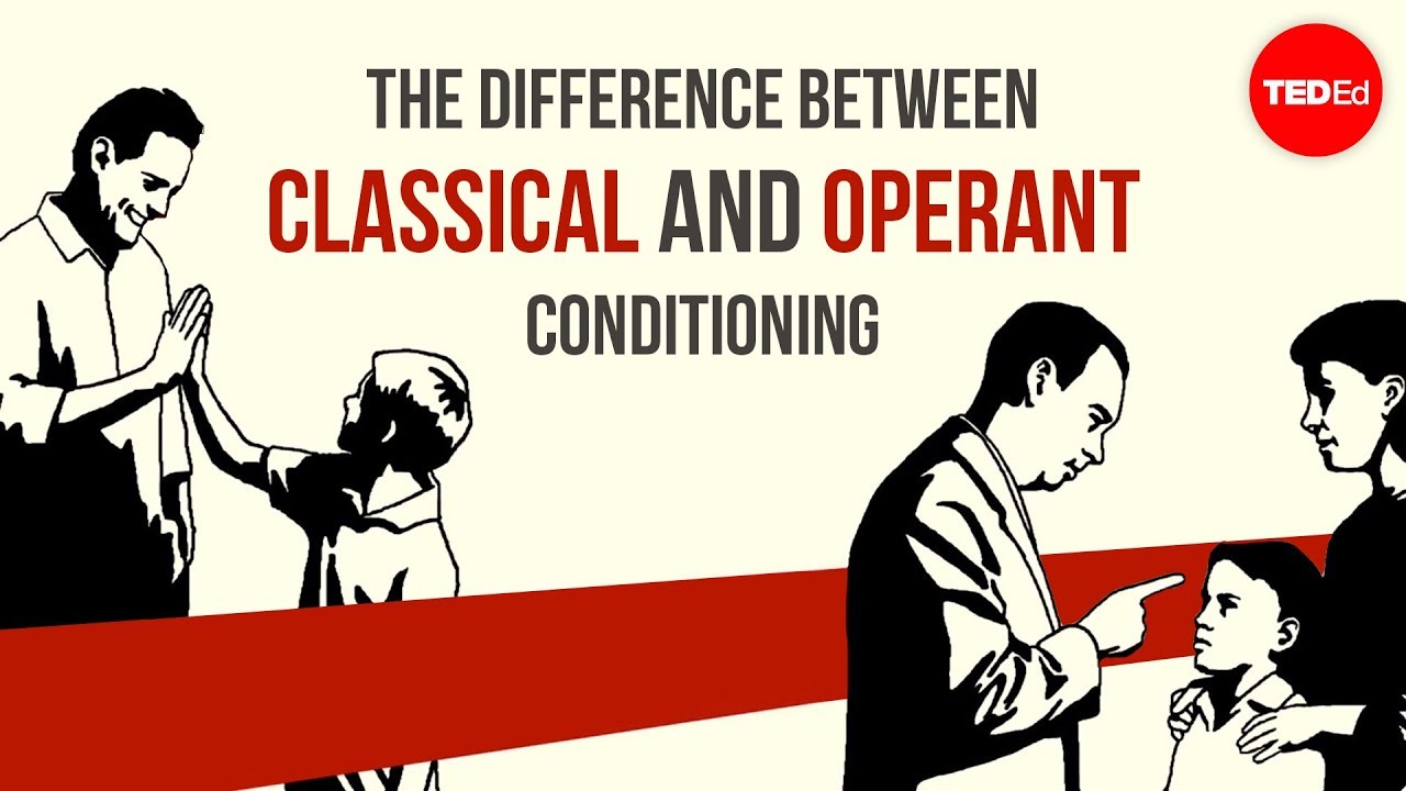 The difference between classical and operant conditioning - Peggy Andover - YouTube