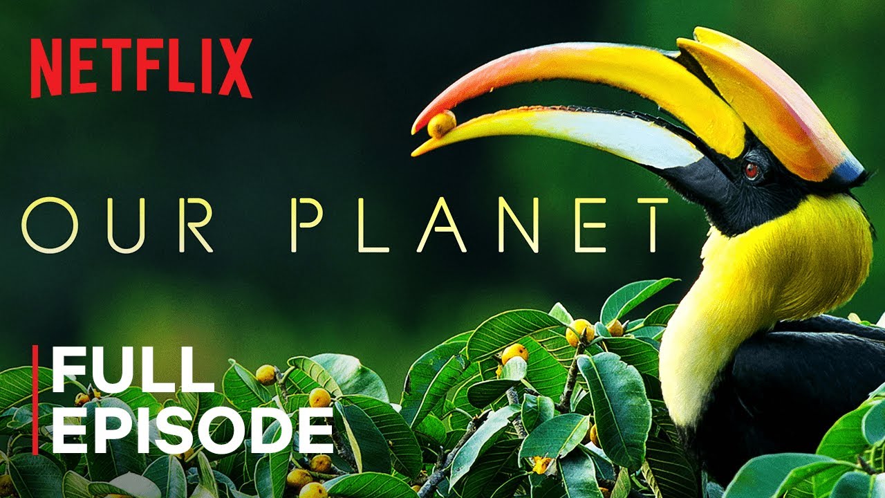 Our Planet | Forests | FULL EPISODE | Netflix - YouTube