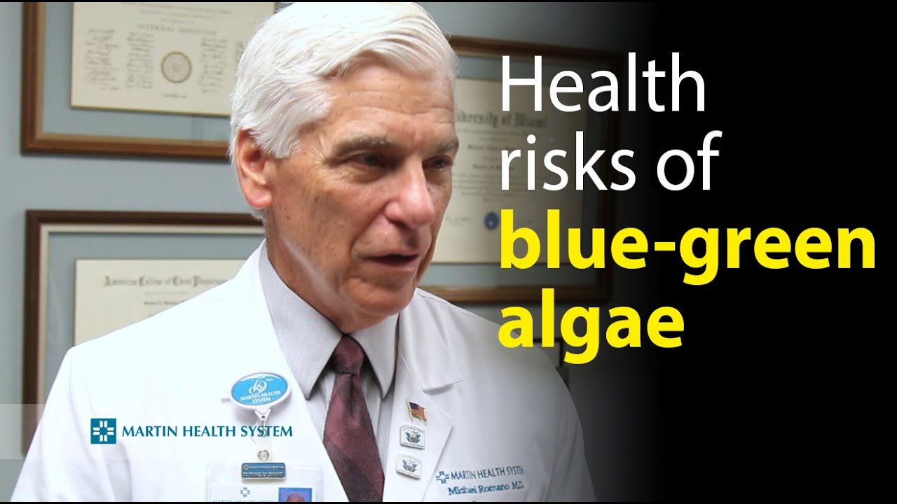 Health risks associated with blue-green algae exposure - YouTube