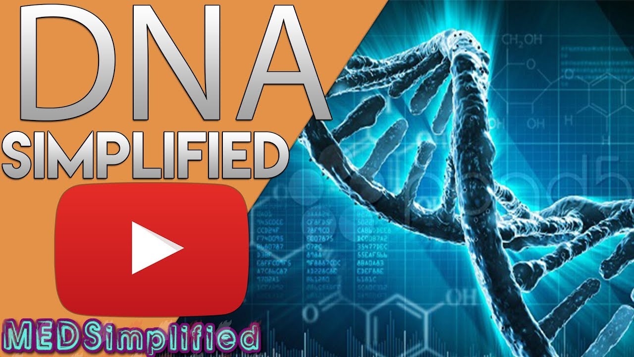 Unraveling DNA: The Blueprint of Life