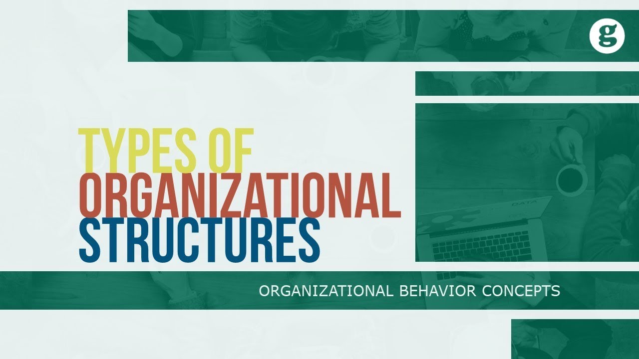 Types of Organizational Structures - YouTube