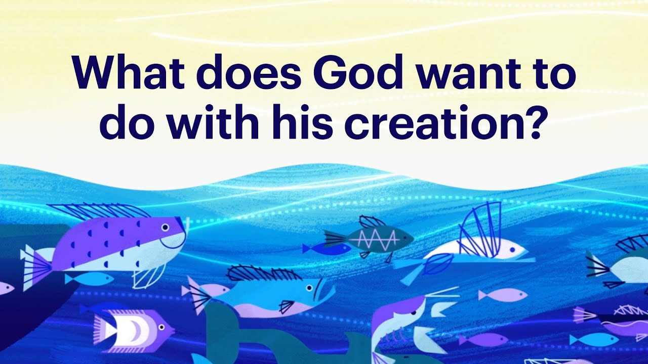 How Genesis 1 Communicates What The Whole Bible is About - YouTube