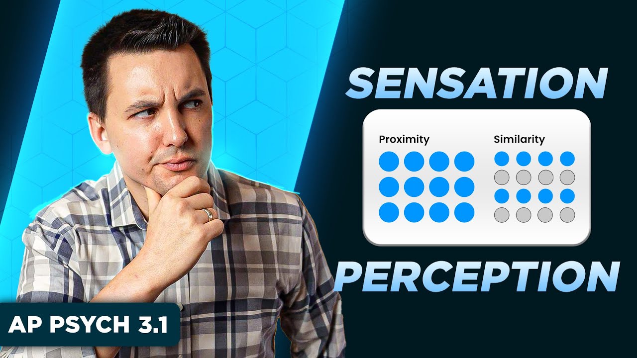 Sensation and Perception [AP Psychology Unit 3 Topic 1] - YouTube
