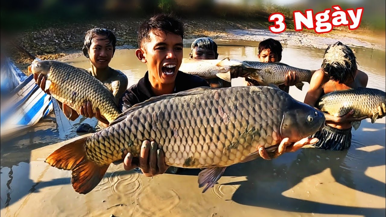 Rất Nhiều Cá Lớn Ẩn Nấp Dưới Lớp Bùn Ao 2 Năm Không Ai Biết | 2 Ngày Bắt Cá Bội Thu Cho TEAM - YouTube