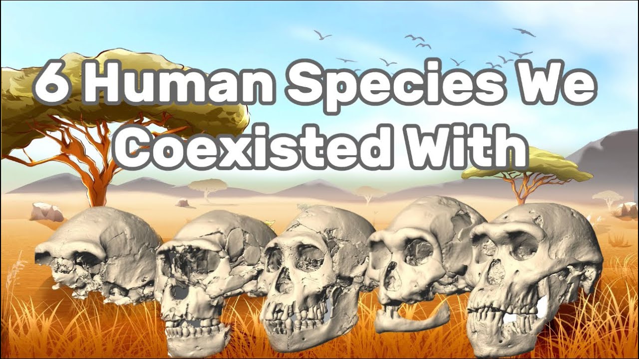 6 Ancient Human Species We Once Co-Existed With - YouTube