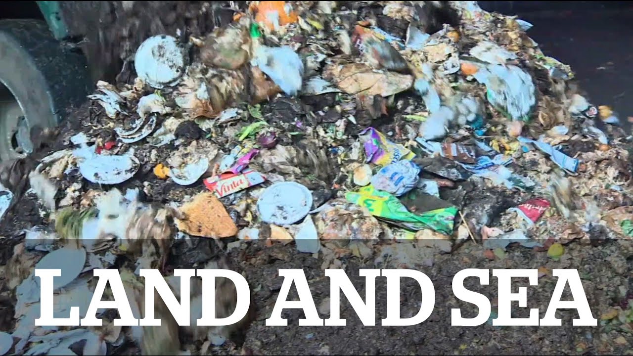 Land and Sea: The high cost of food waste - YouTube