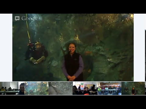 Seattle Aquarium #VirtualFieldTrip - YouTube