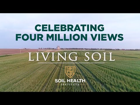 Living Soil Film - YouTube